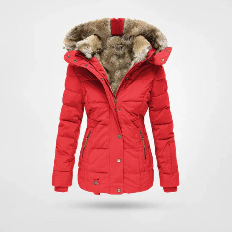 https://cdn.shopify.com/s/files/1/0981/1568/2584/files/Winterjas-Dames-Gevoerde-Capuchon-Dubbele-Sluiting-4.jpg?v=1787939416