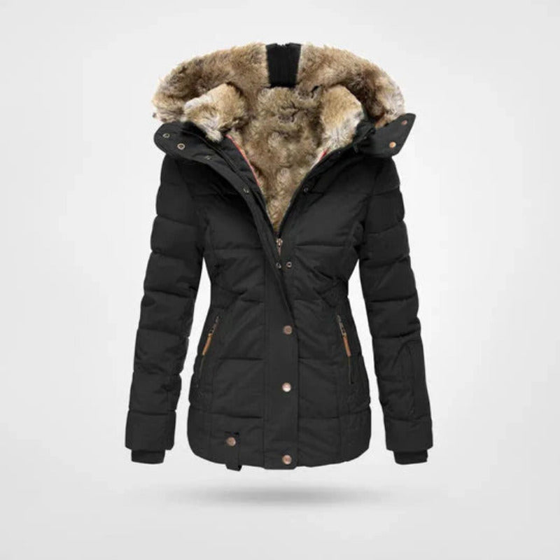 https://cdn.shopify.com/s/files/1/0981/1568/2584/files/Winterjas-Dames-Gevoerde-Capuchon-Dubbele-Sluiting.jpg?v=1787939416